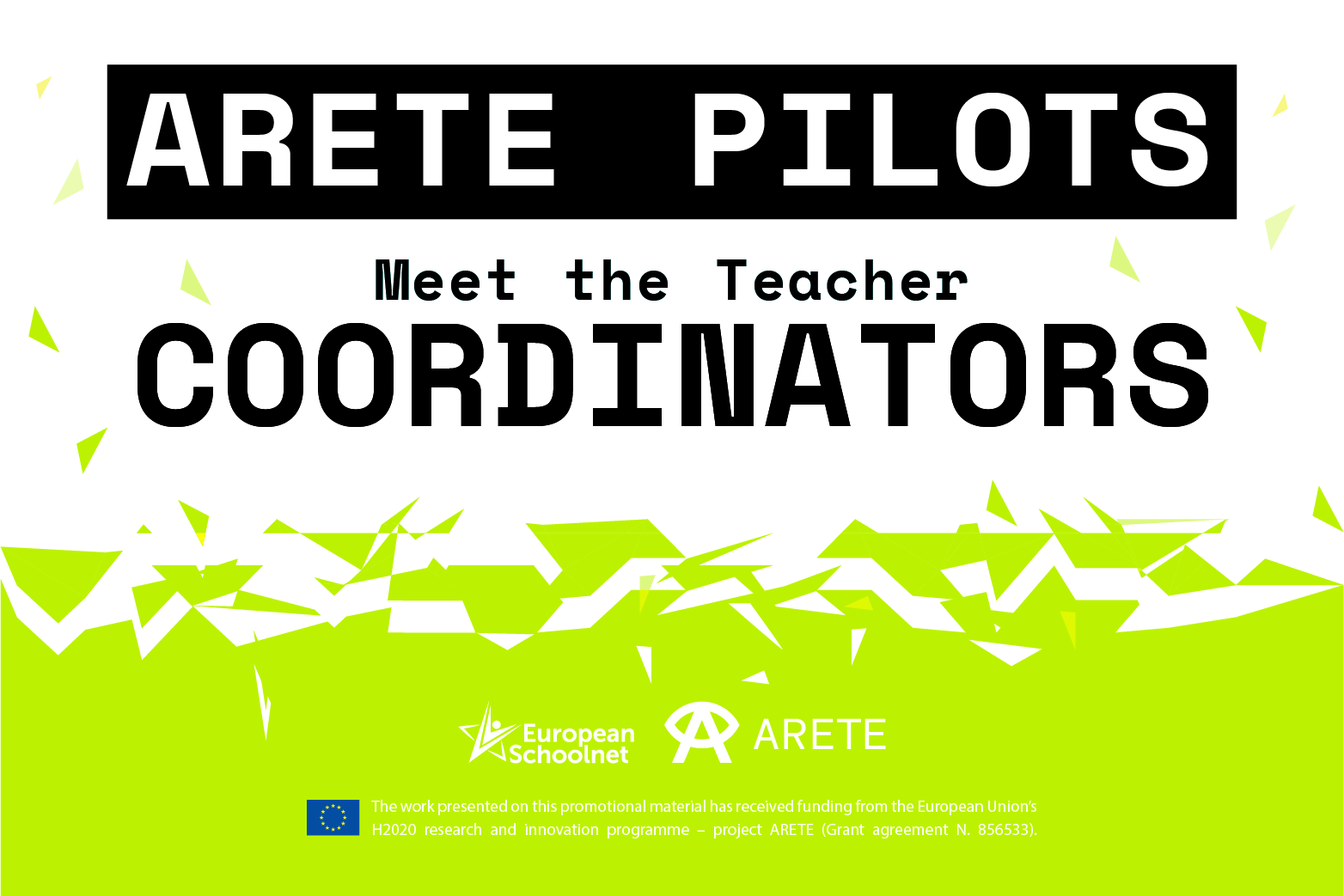 ARETE PILOTS COORDINATORS: FIT TO FLY!